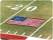 aerosol paints stencil for US flag.