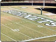 High School Letters Stencil for football End zone