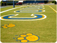 Painting Football Field End Zone Logos.