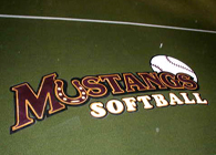 paint permanent logo synthetic turf.