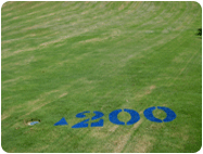 golf course distances painted on grass