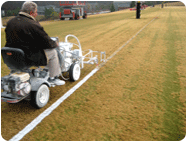 Bulk Soccer Field Marking Paint striping machine