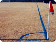 field paint color best for striping Soccer Fields lines on Dormant Brown Grass.