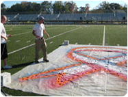painting removable logos lines mascot