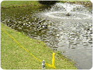Water Hazard Yellow Golf Course Paint