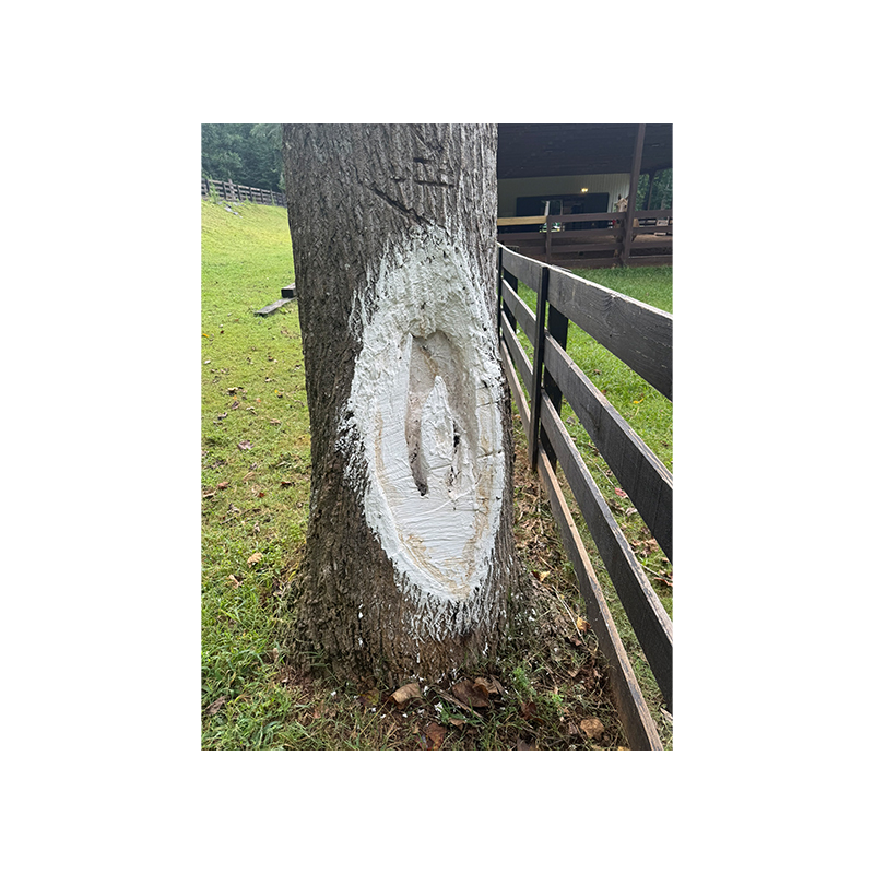 Tree Wound Protection