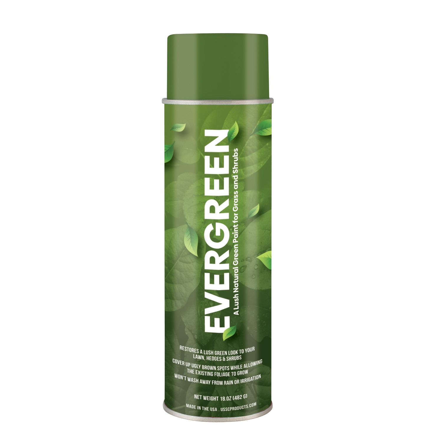 Evergreen Paint for Shrubs